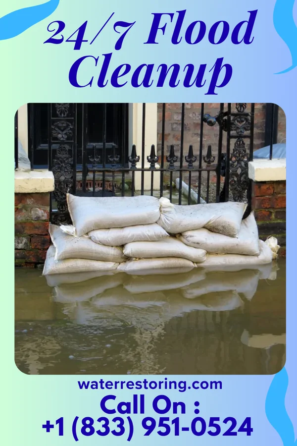 24/7 Flood Cleanup in Westville, IN