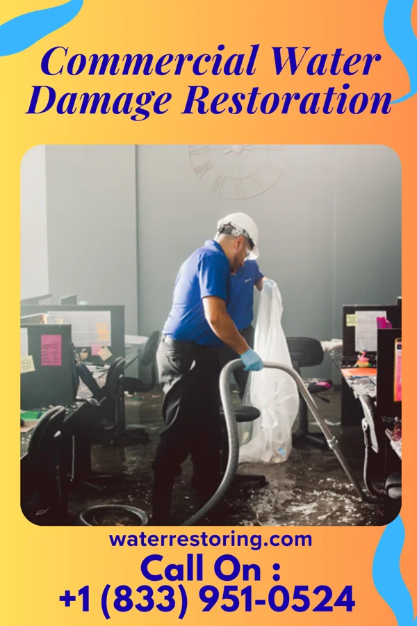 Commercial Water Damage Restoration in Westville, IN