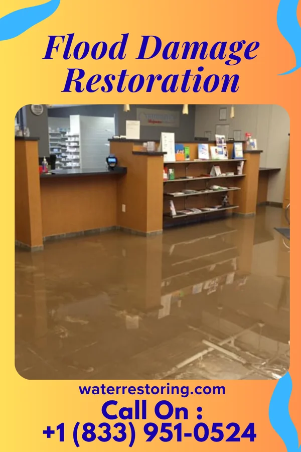 Flood Damage Restoration in Westville, IN