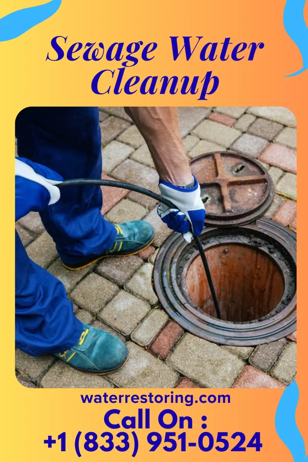 Sewage Water Cleanup in Westville, IN
